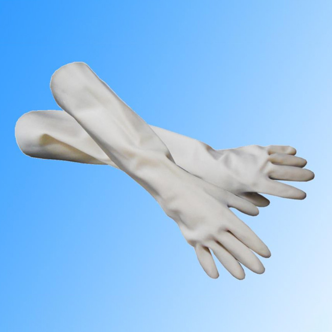 ECONOMY GLOVES (6